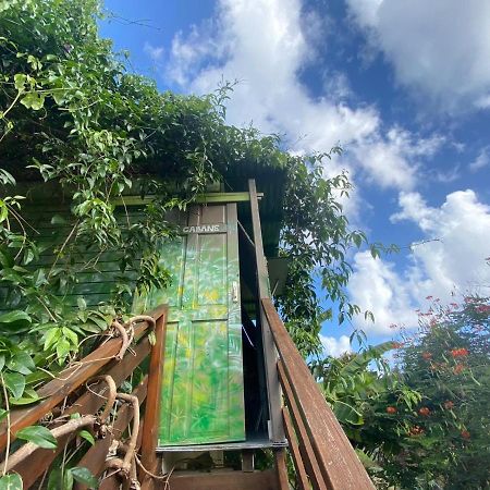 Gites Titanse, La Cabane Dans L Arbre Cadet  Dış mekan fotoğraf